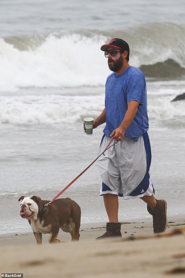 Adam Sandler kicks back with his wife and their bulldog during a gloomy day at the beach Adam Sandler kicks back with his wife and their bulldog during a gloomy day at the beach