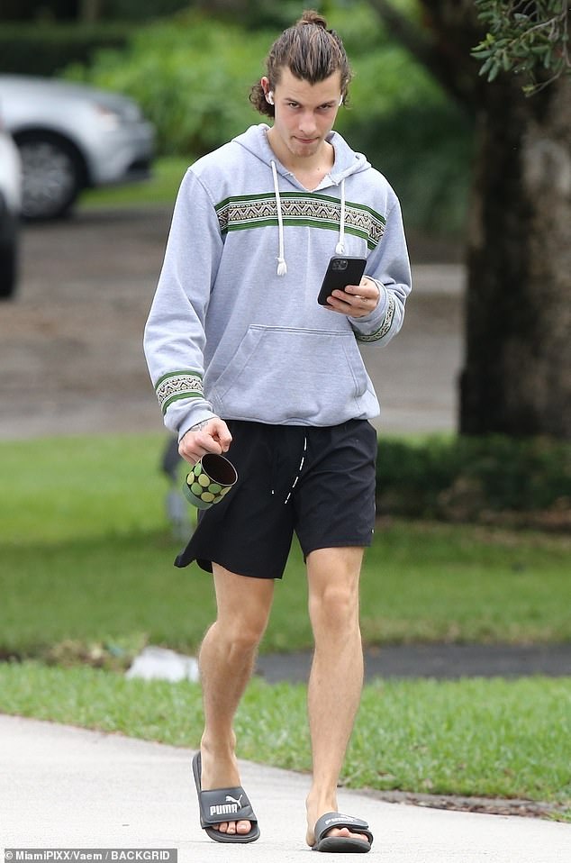 Shawn Mendes is good-to-go in casual grey hoodie during solo stroll ...